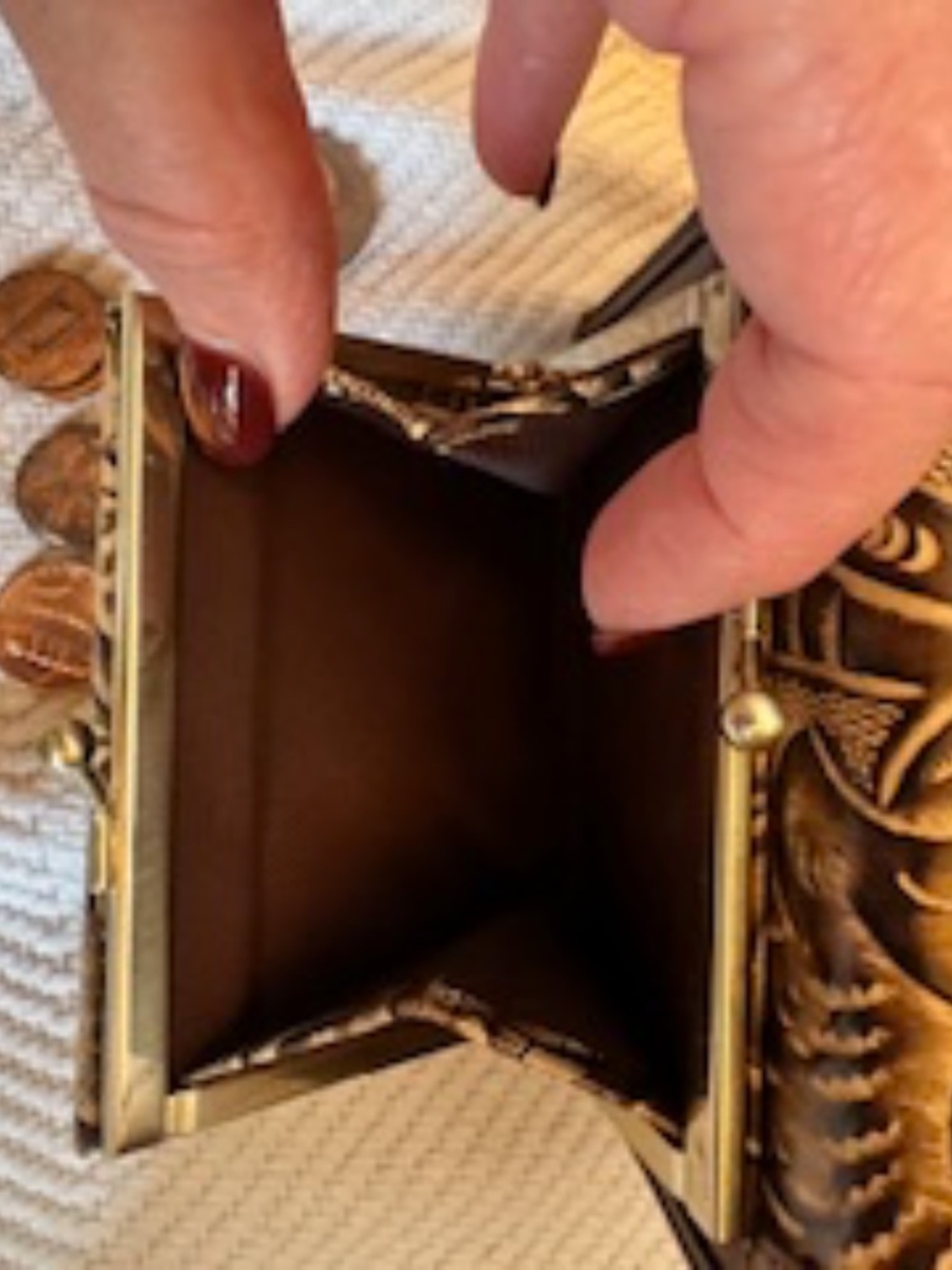 BRAHMIN - Picture 11 of 14